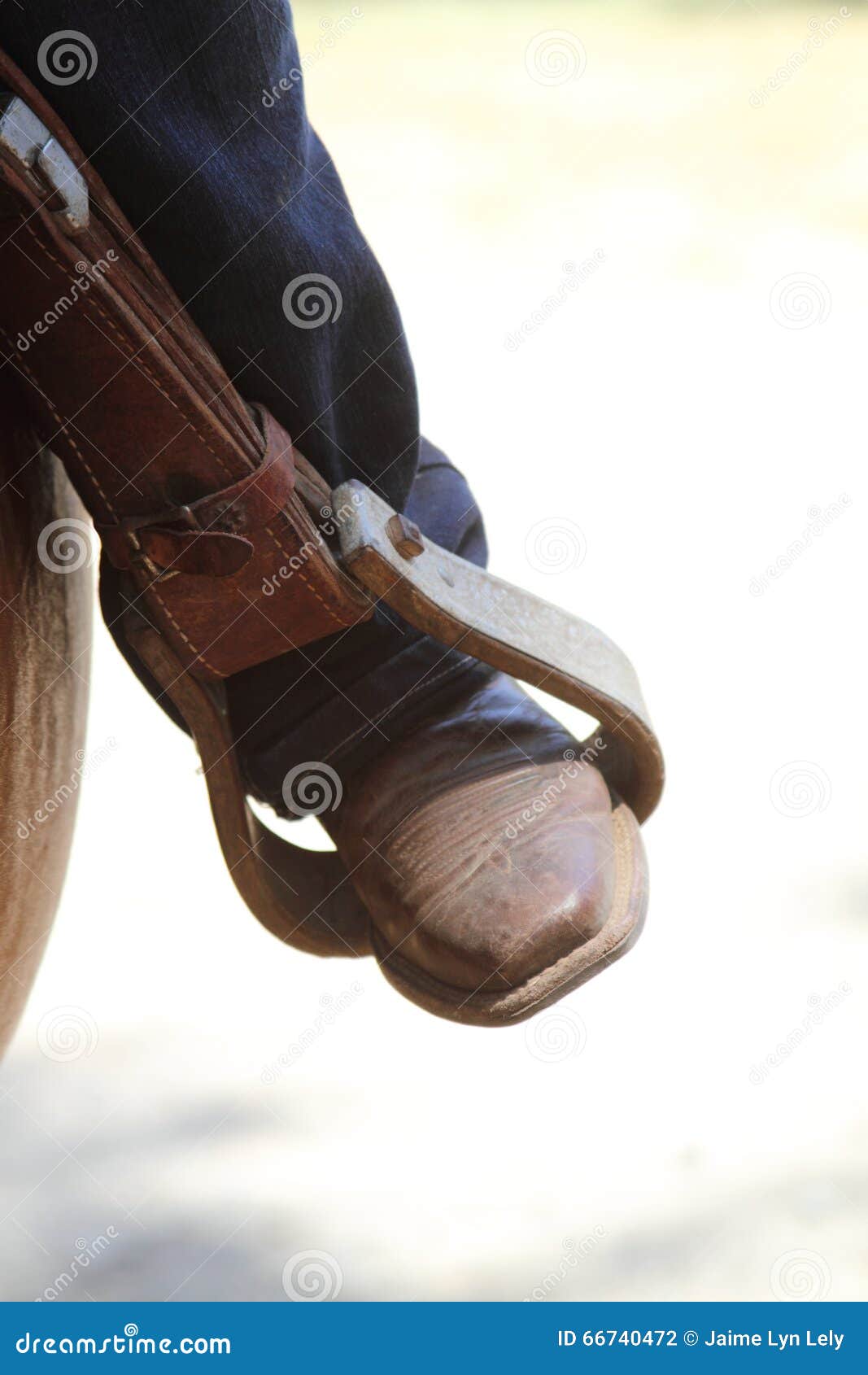 Boot in Stirrup stock photo. Image of brown, leather 66740472