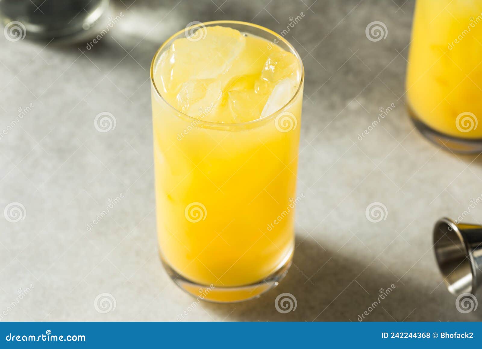 Boozy Cold Refreshing Gin and Juice Stock Photo Image of fresh, refreshment 242244368