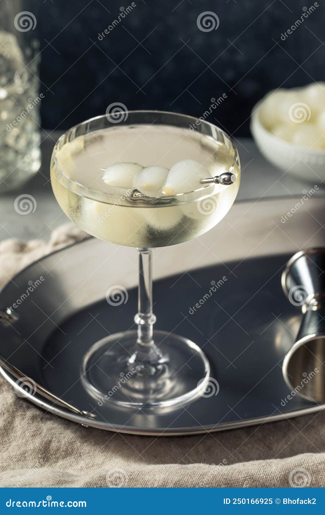 Boozy Refreshing Gin Gibson Martini Stock Image Image of alcoholic