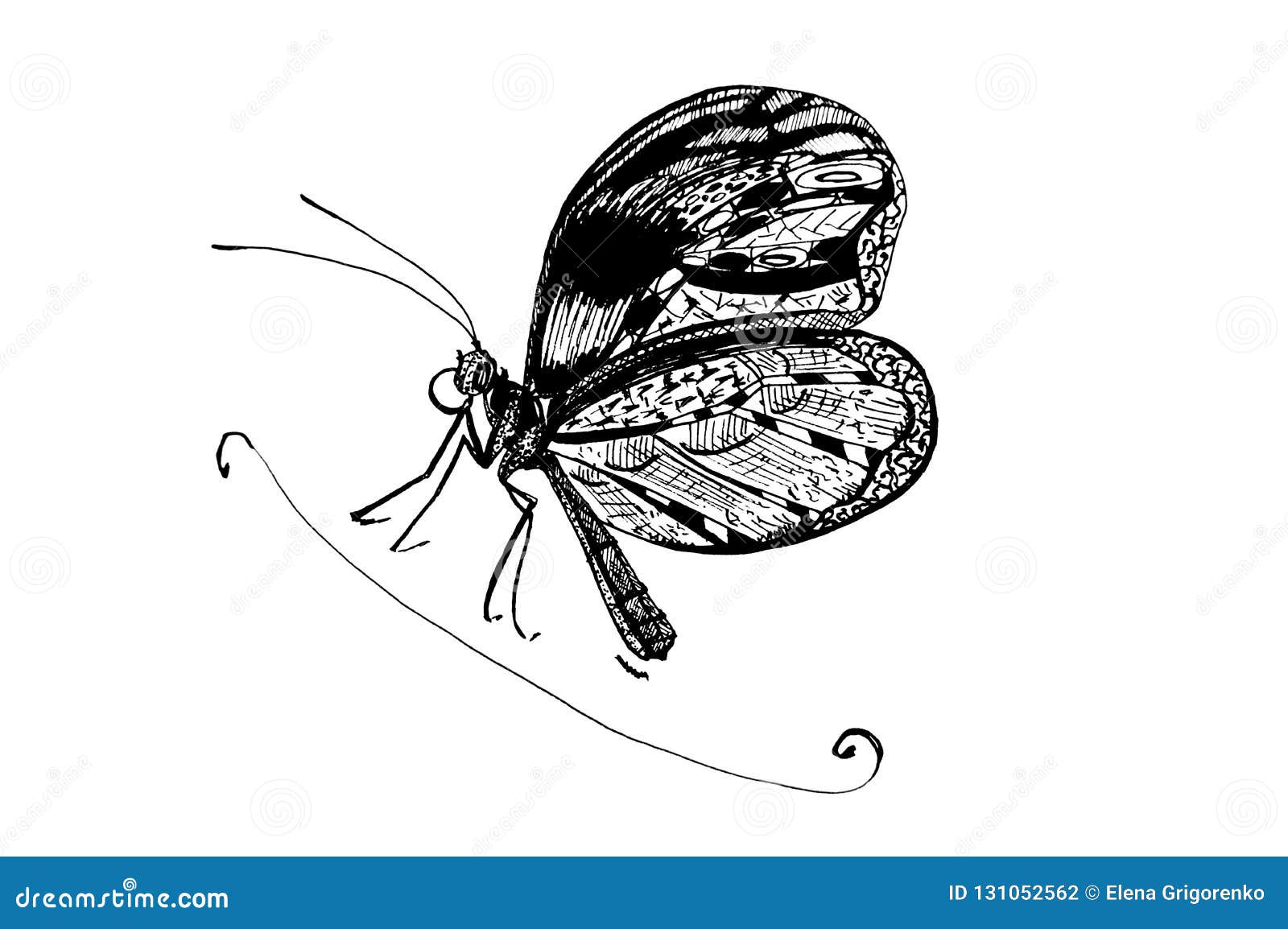 Silhueta Da Borboleta Borboleta Da Tatuagem Esboço Isolado Do Vetor Da  Borboleta Ilustração do Vetor - Ilustração de borboleta, vetor: 108265640