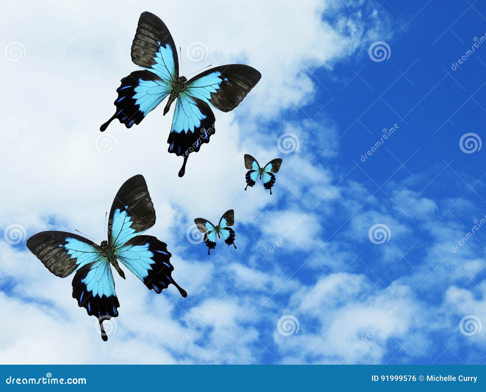 Featured image of post Imagens De Borboletas No Céu : É por isso que, hoje em dia, a borboleta voa livre no céu e o morcego vive em uma caverna escura.