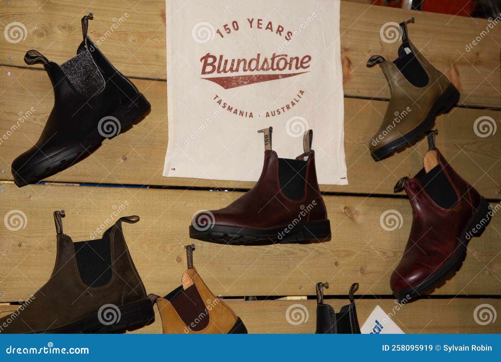 Blundstone Australia Logo Text and Sign Brand on New Shoes from New ...