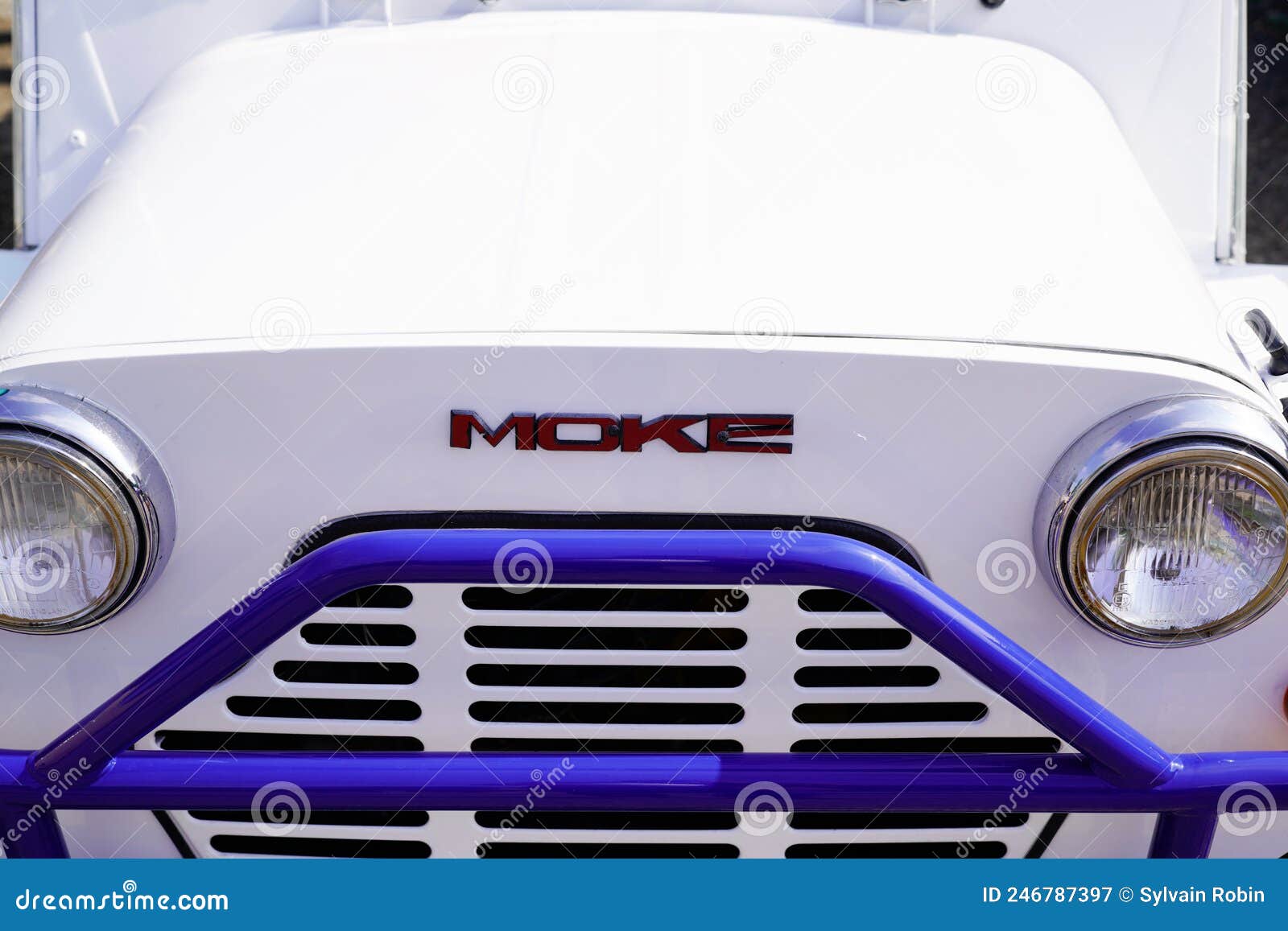 AUSTIN MINI mini-moke-bache occasion - Le Parking