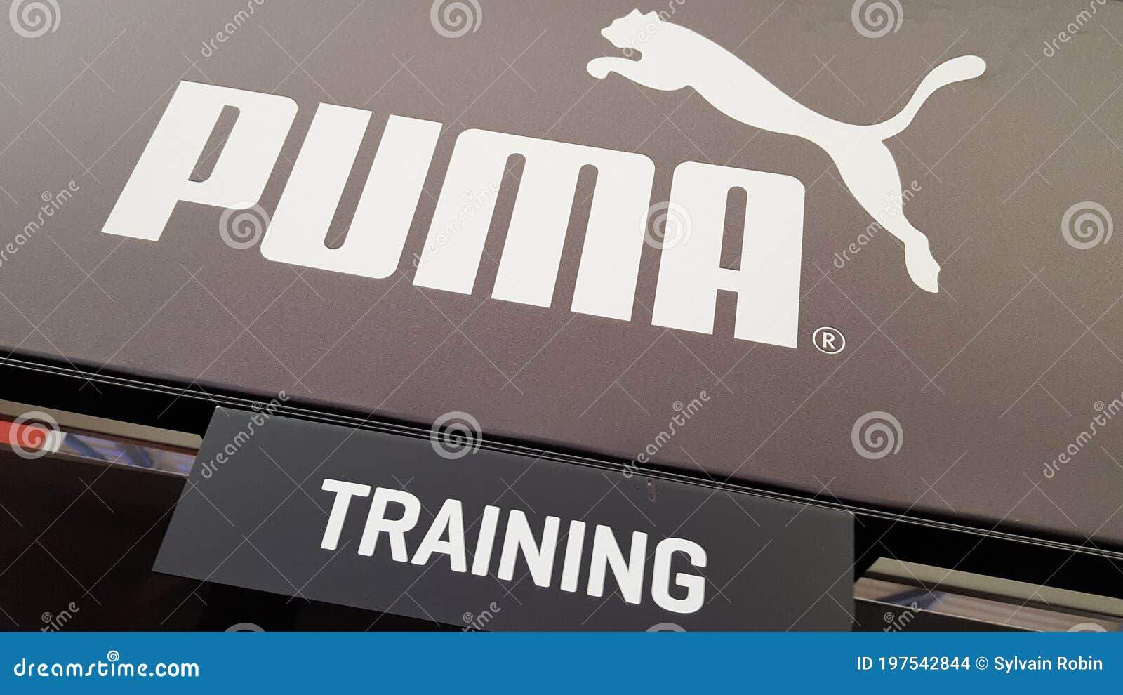 Puma Store Sign And Logo Of German Company Sporty For Athletic Casual Footwear Editorial Stock Image - Image of advertising, building: 197542844