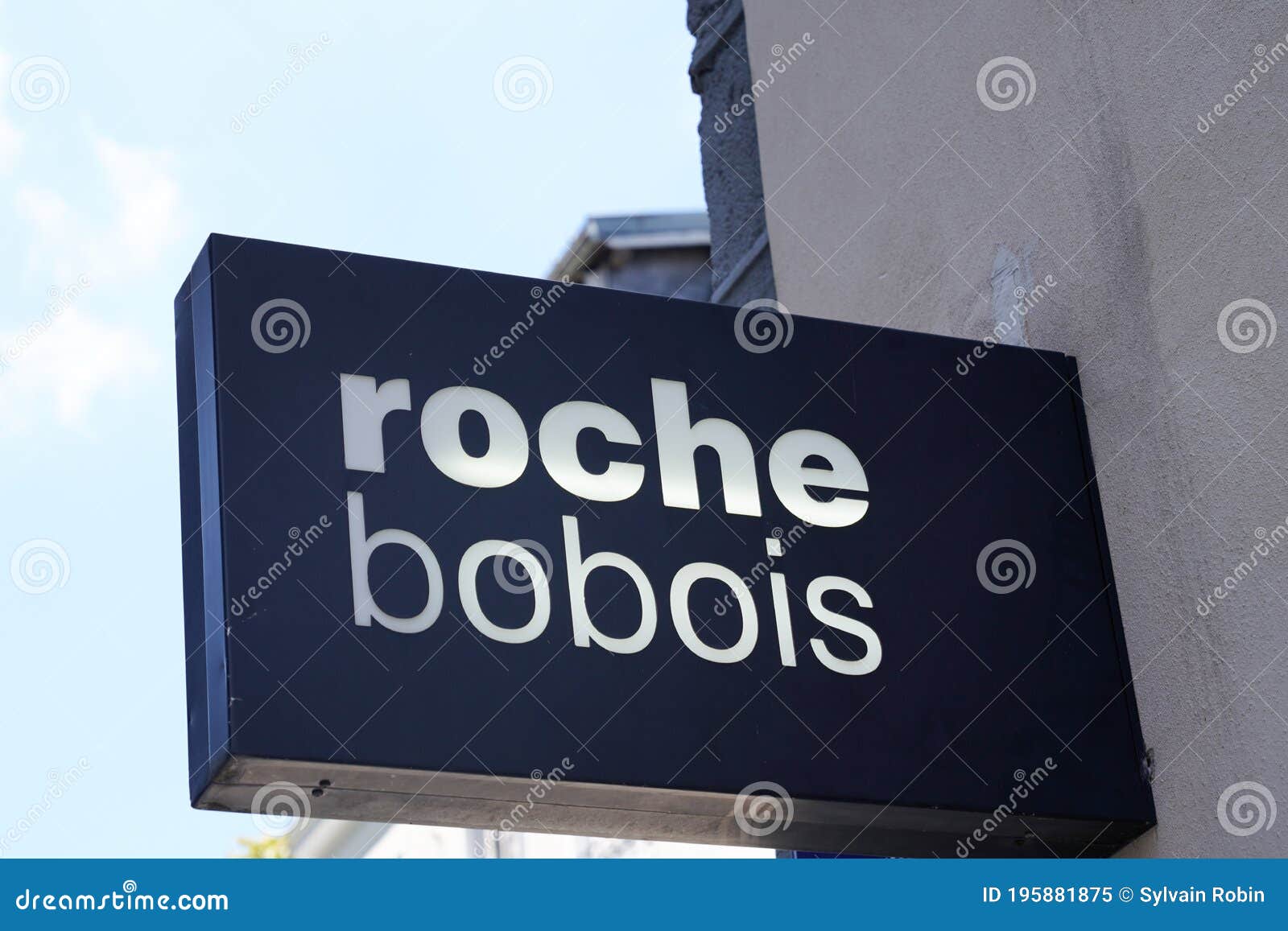 32 Roche Bobois Logo - Pin Logo Icon