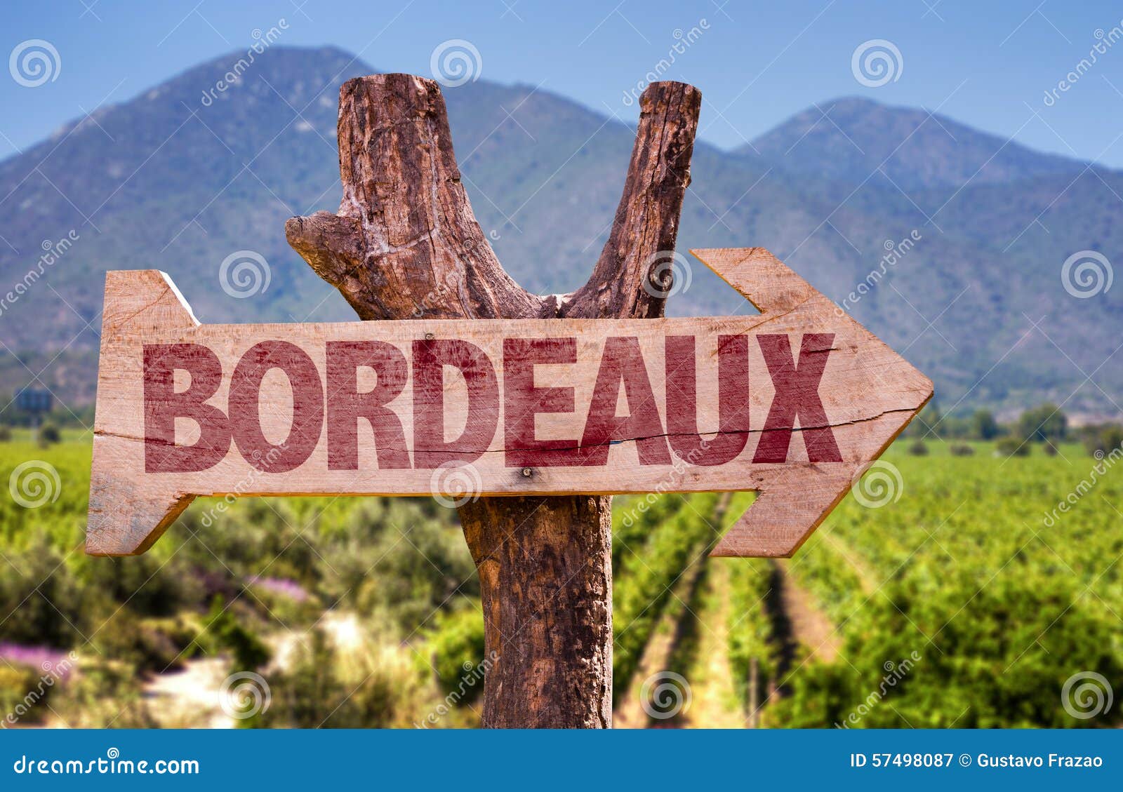 bordeaux wooden sign with winery background