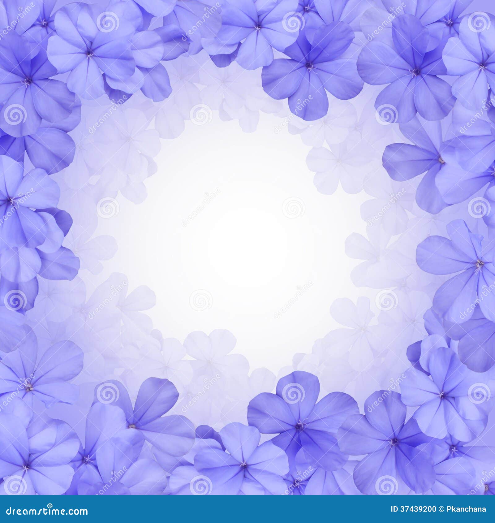 Border Or Background With Blue Flower Stock Photo - Image ...