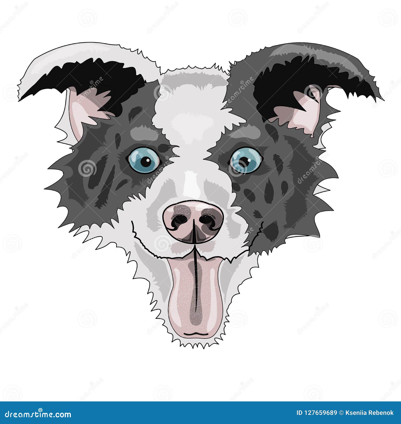 Border Collie De La Raza De La Cara Del Perro Stock de ilustración -  Ilustración de animal, obediencia: 127659689, image size:1600x1690