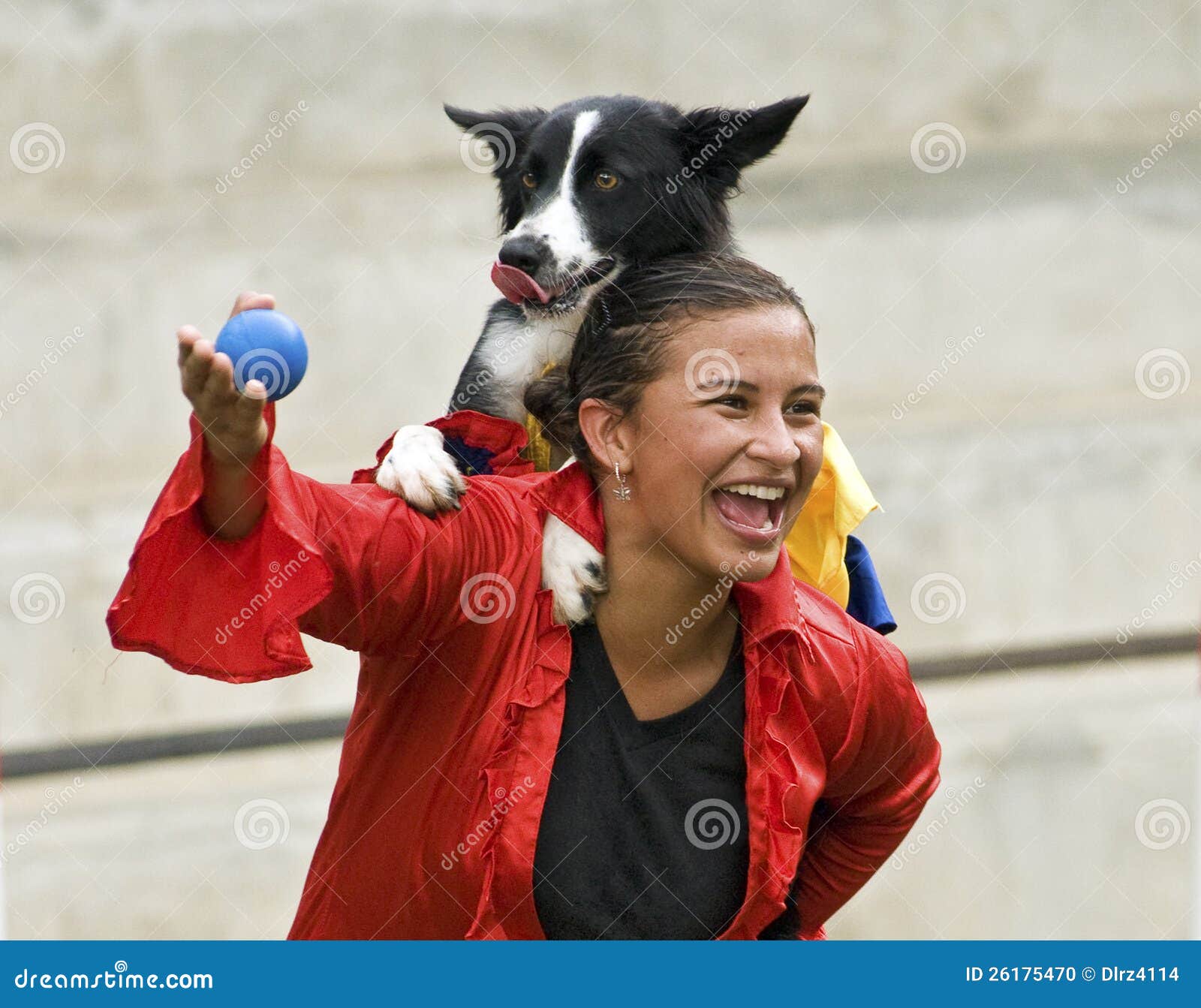 Border Collie Dog and Trainer Editorial Image Image of lover, ride