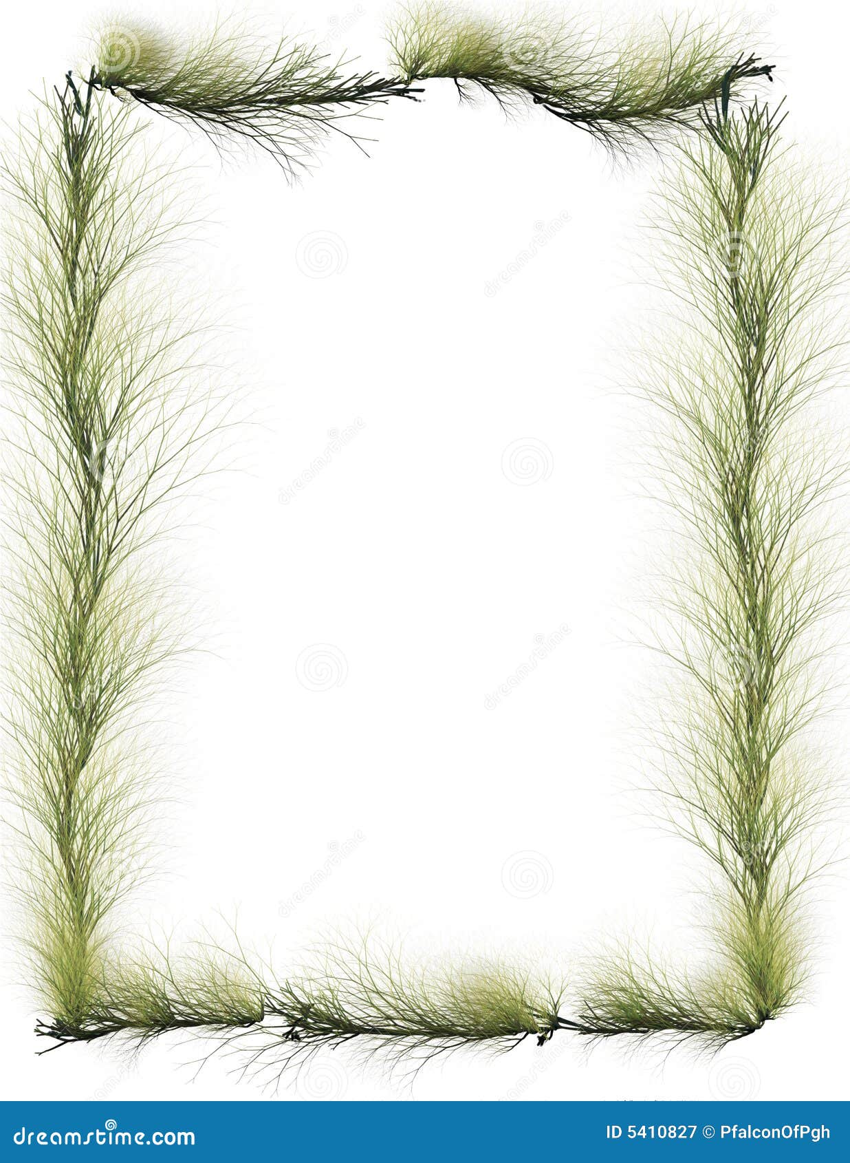 border: evergreen branches