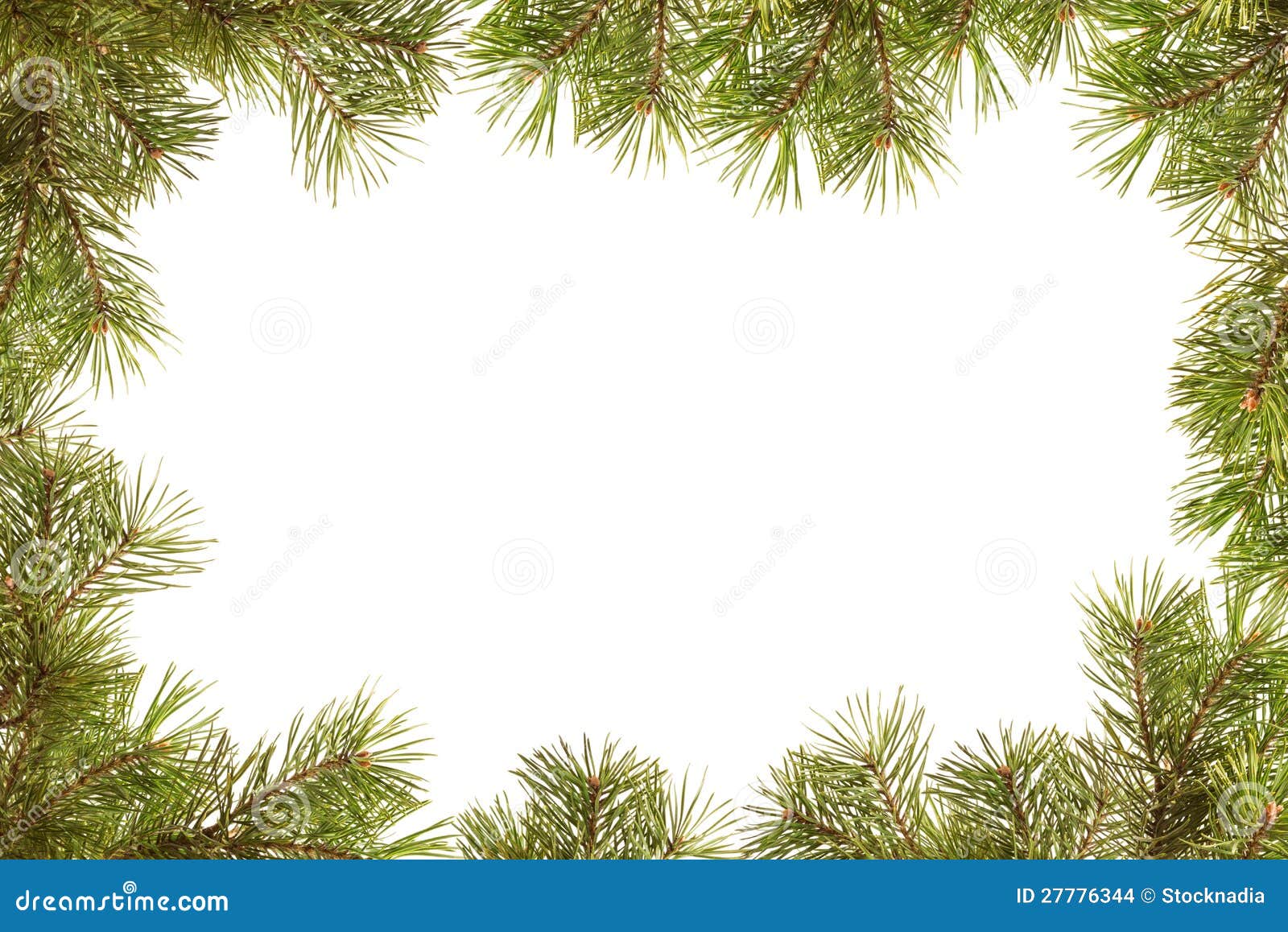 clipart tree branch borders - photo #20