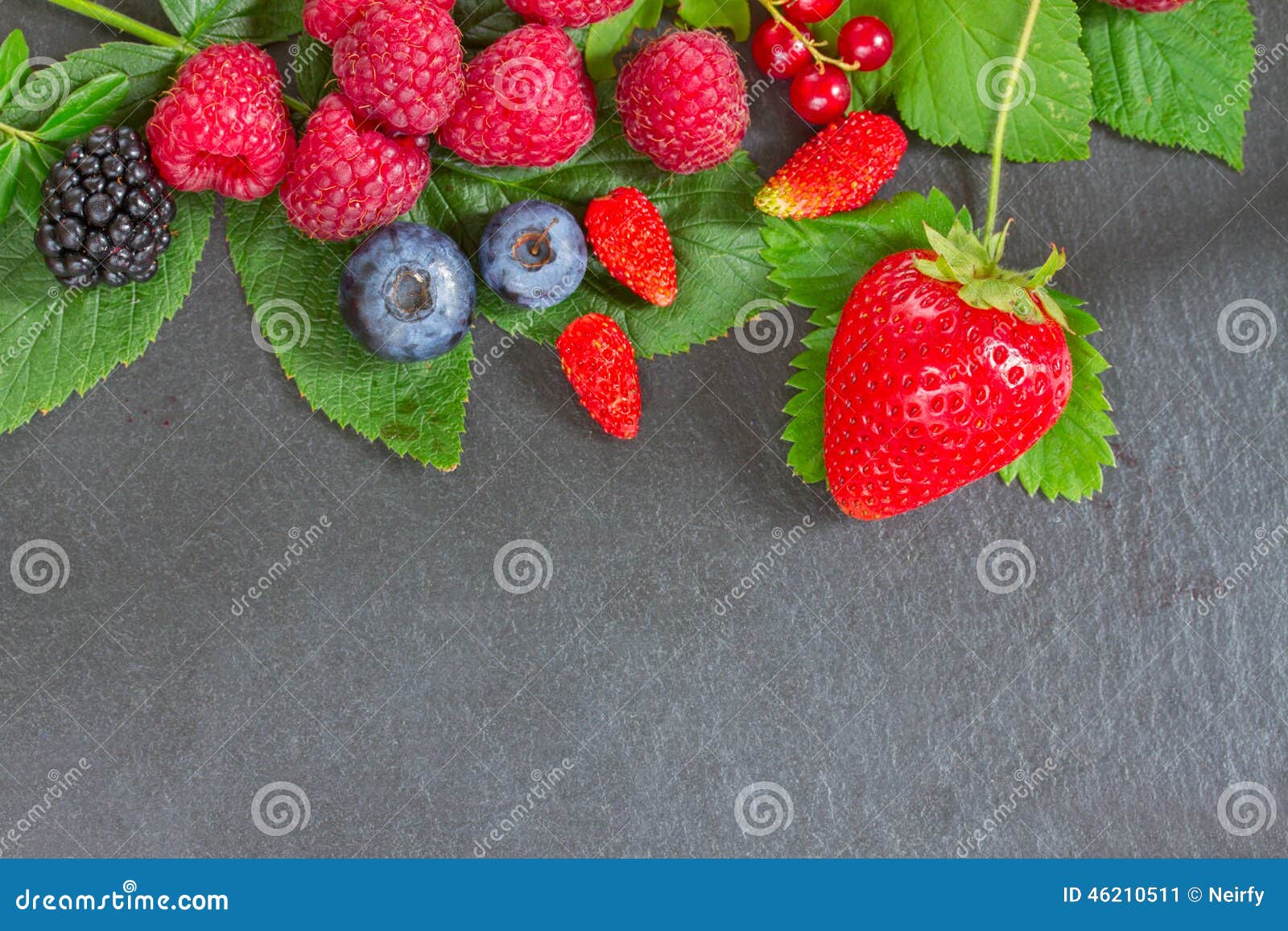 Border of fresh berries stock image. Image of dessert 46210511