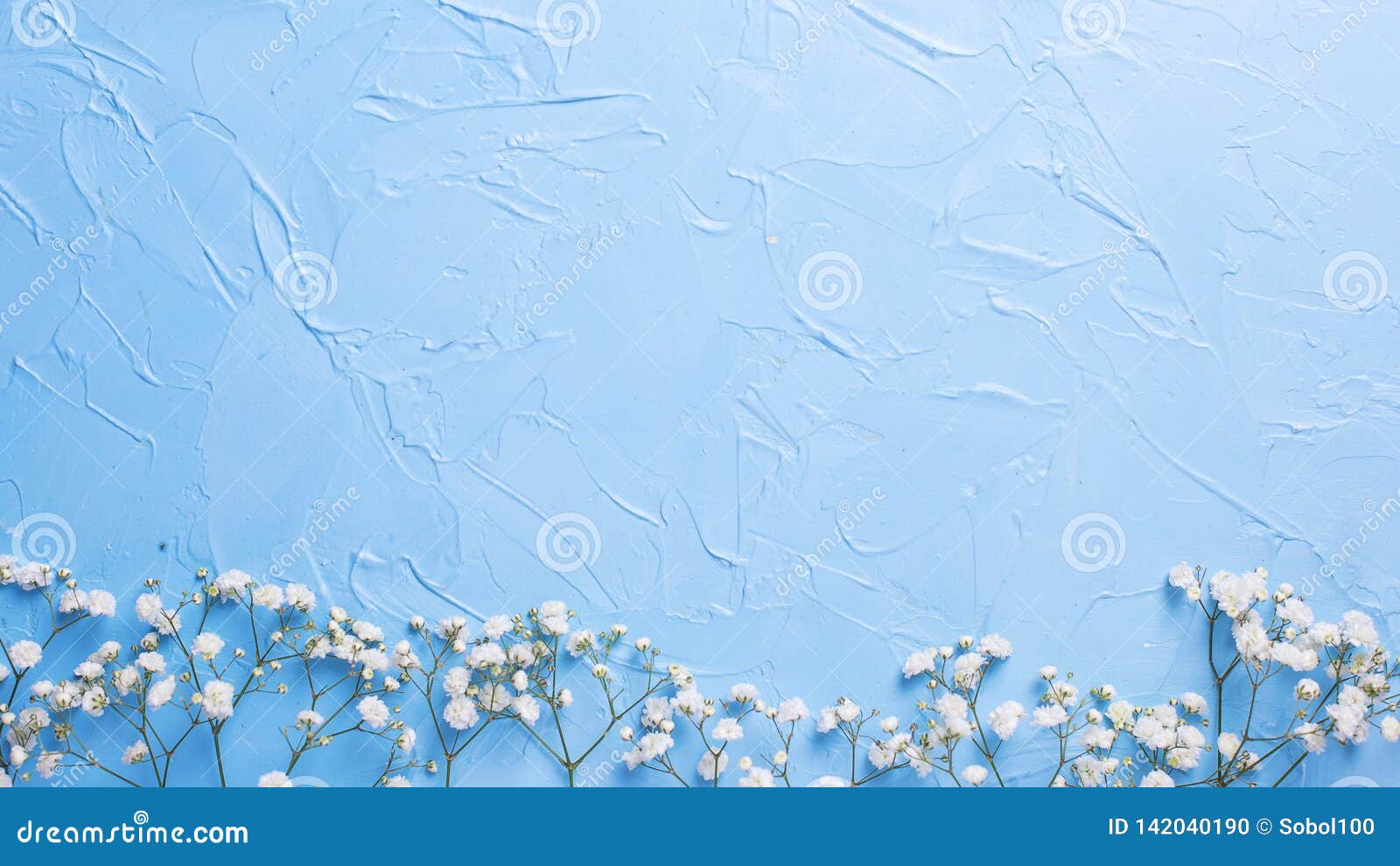 border from fresh white gypsofila flowers on blue textured background