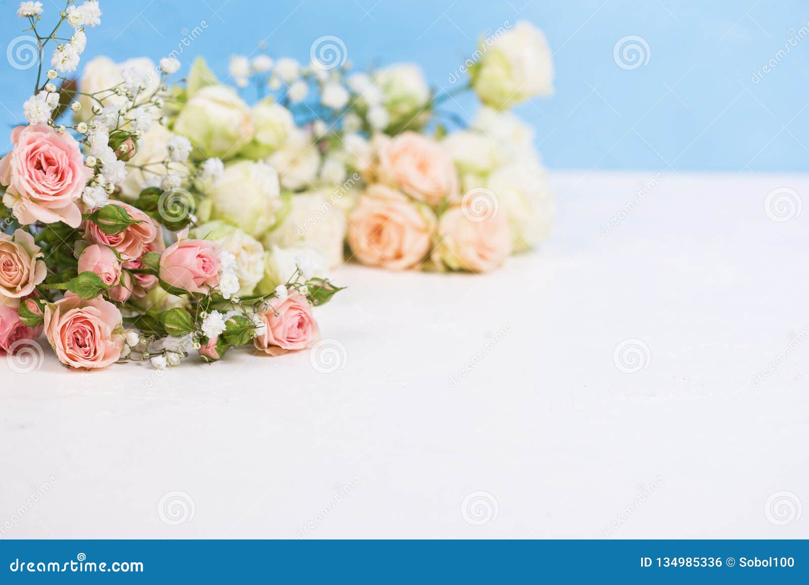 border from fresh white gypsofila and white rose flowers against blue textured background