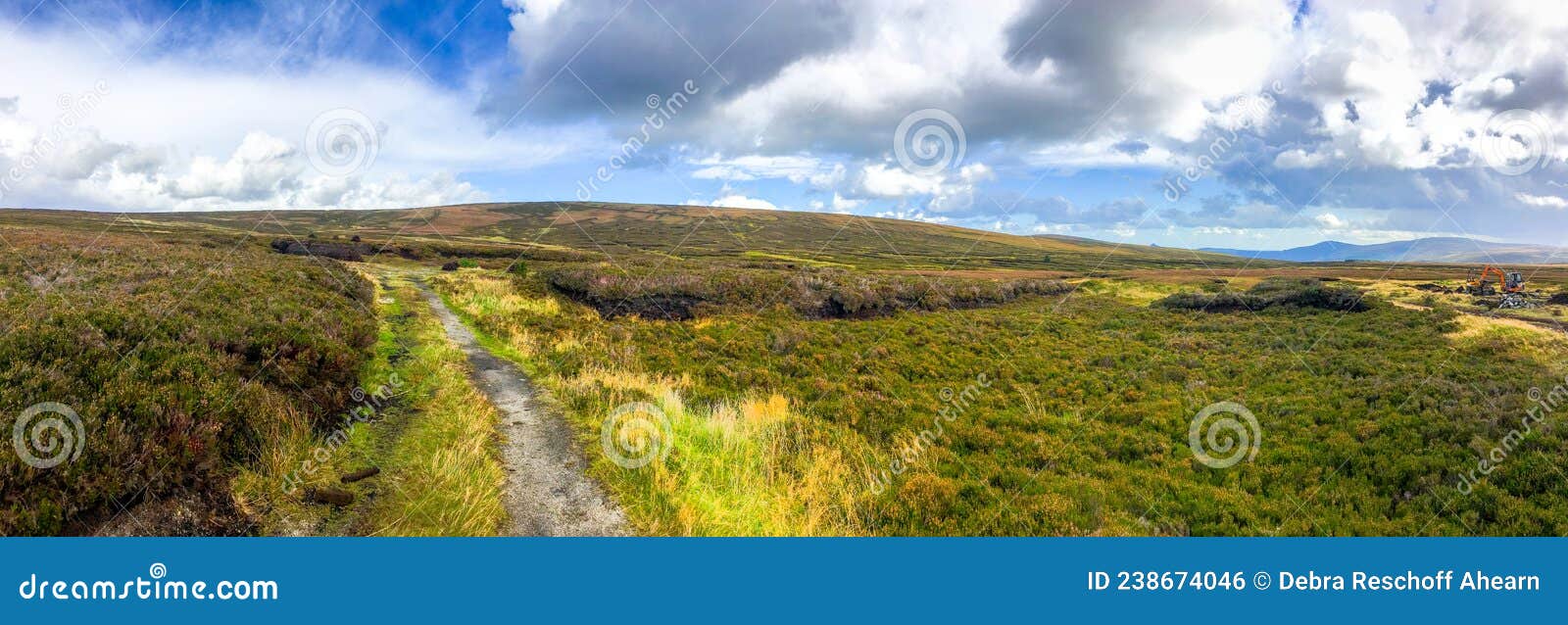 Boreen or Laneway in the Wicklow Mountains. Stock Photo Image of