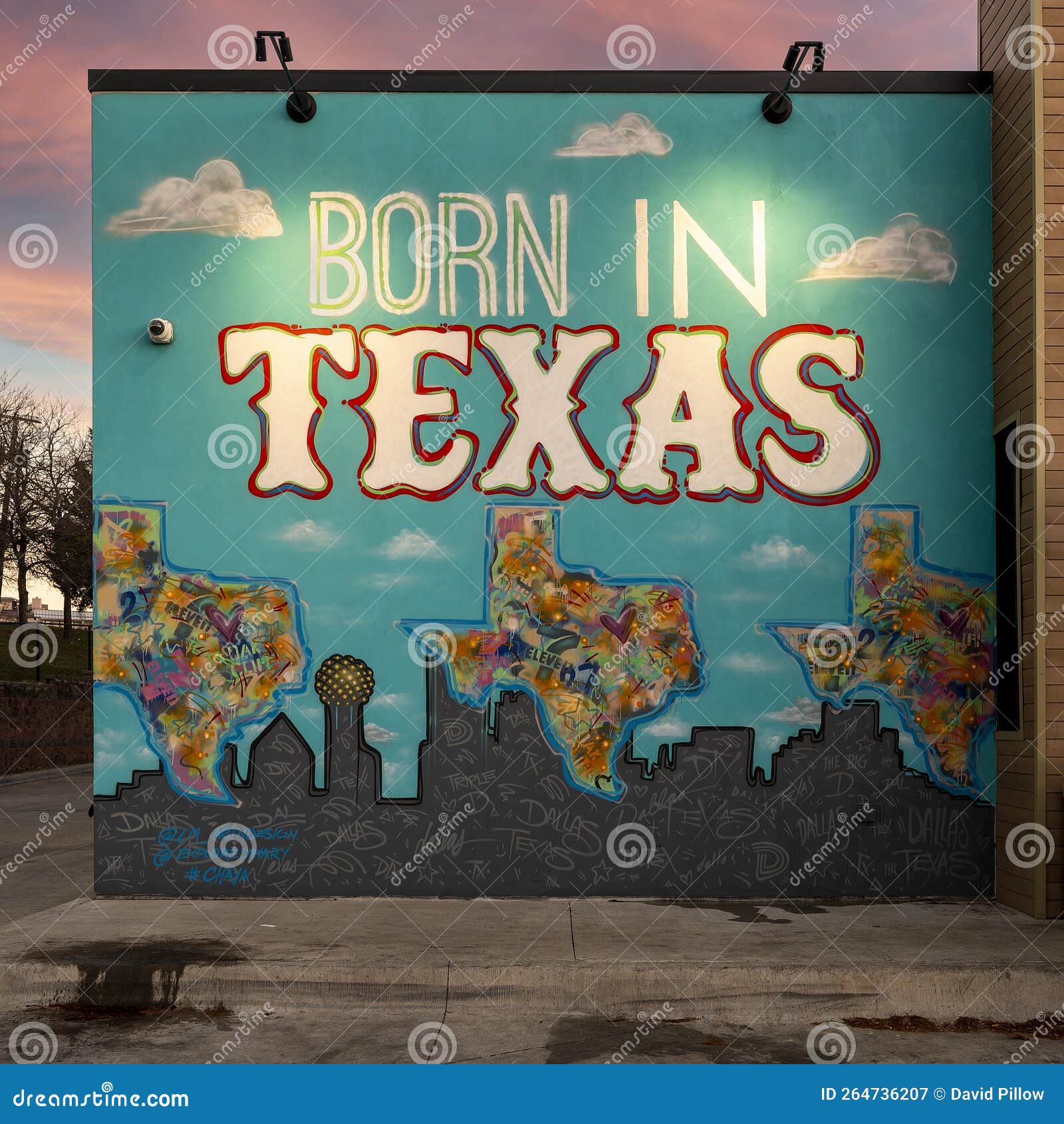 `Born in Texas` Mural by Artist Lesli Marshall in Oak Cliff, Dallas