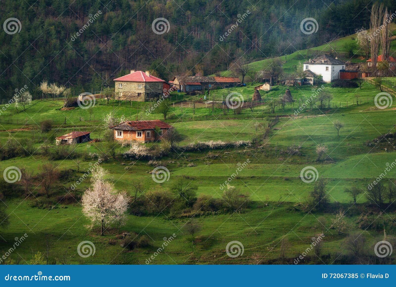 borovitsa village, eastern rhodopes, bulgaria