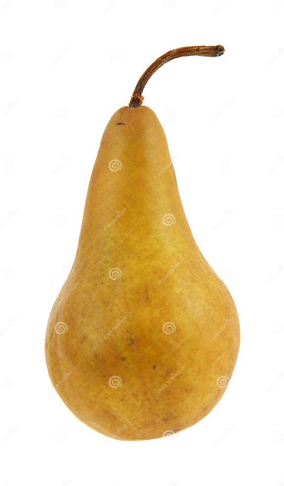 Bosc pear stock image. Image of snack, skin, orchard 11894807