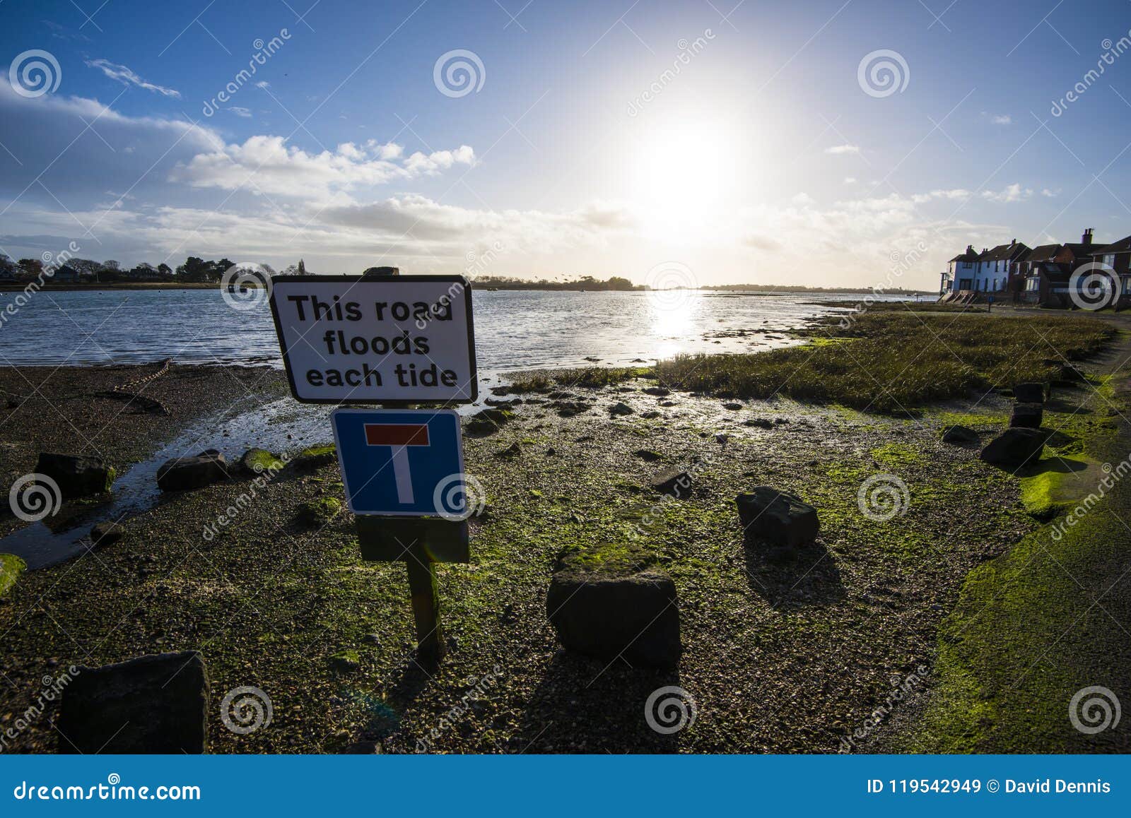 King Canute Stock Illustration - Download Image Now - Viking, King