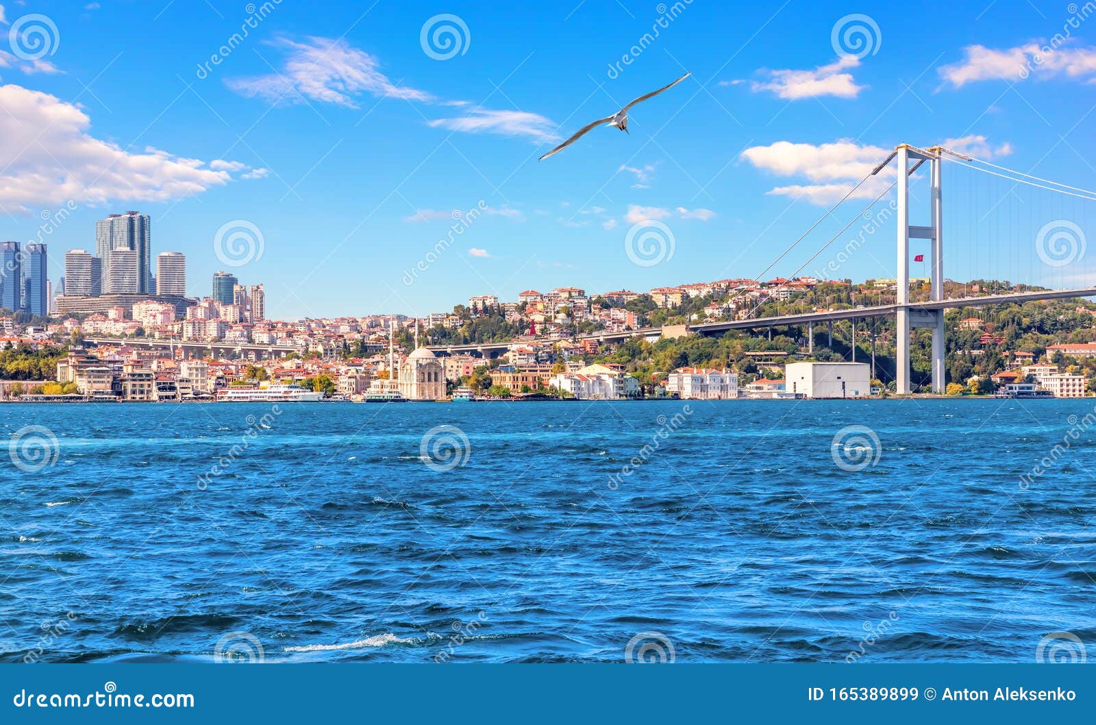 bosphorus bridge and istanbul skyscrappers, beautiful view