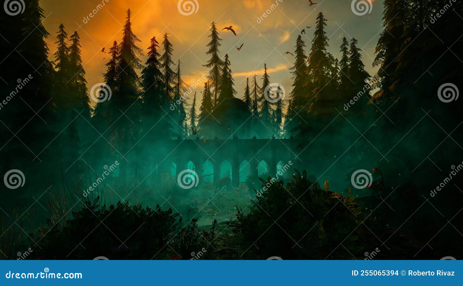 Bosque antiguo foto de archivo. Imagen de bosque, viejo 255065394