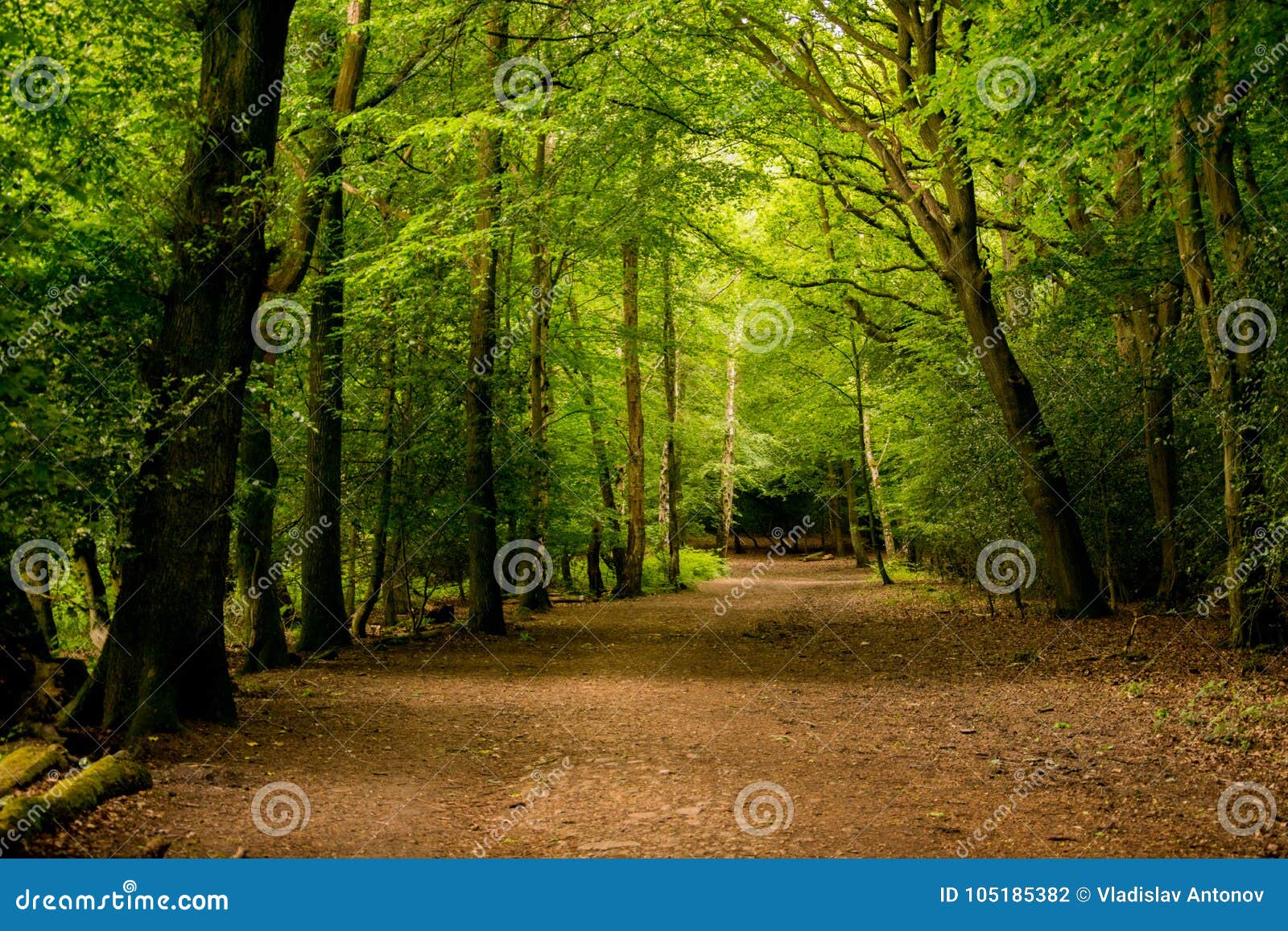 Bosque de Epping en Londres Accesible todo el mundo y cerca de la estación de tren