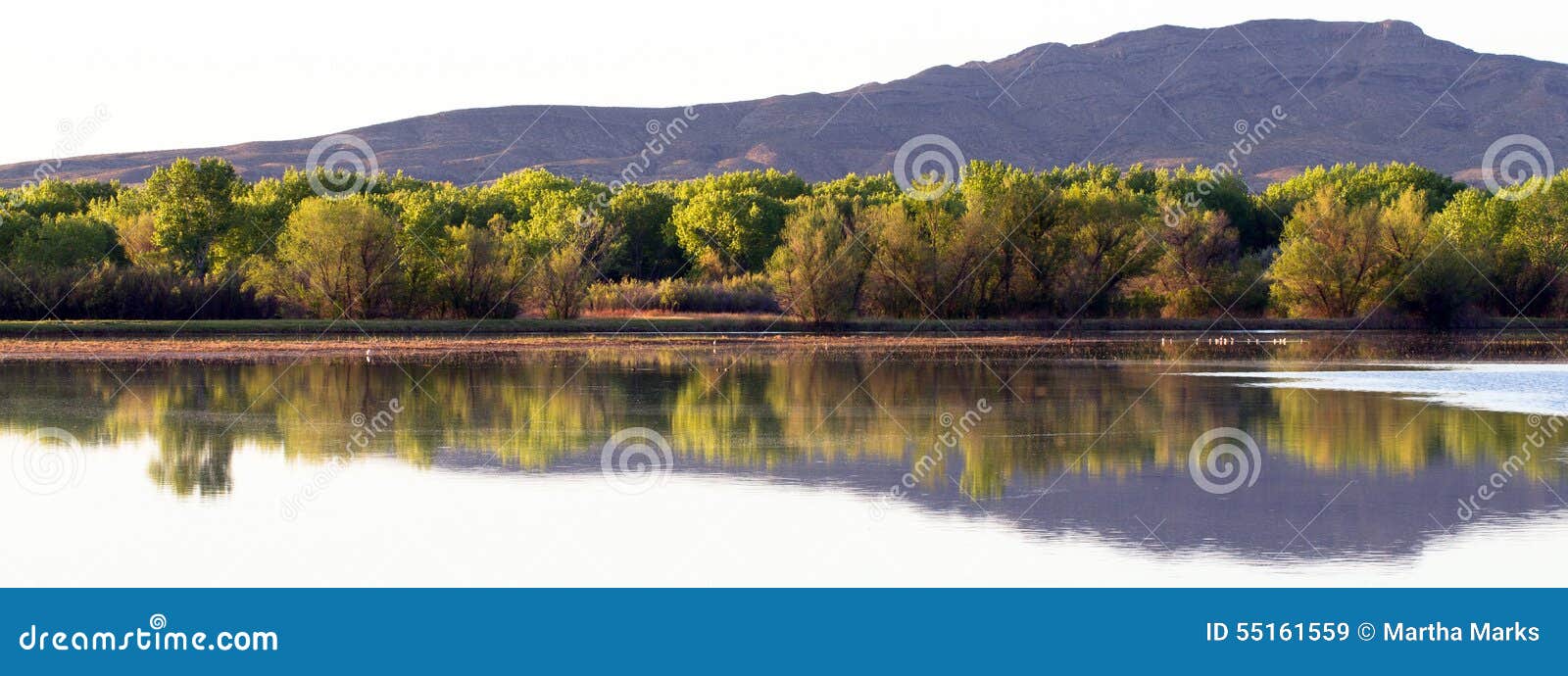 bosque del apache national wildlife refuge