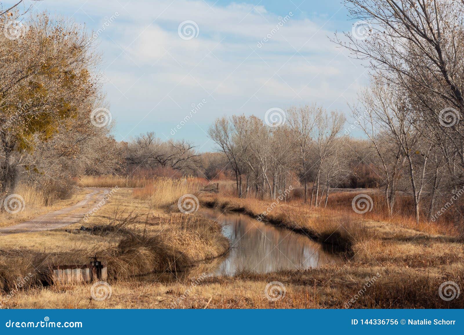 bosque del apache new mexico, winter landscape with road and irrigation ditch, bare trees