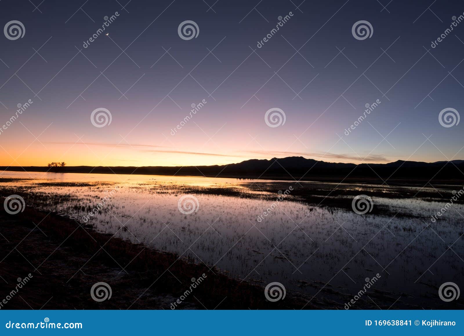 bosque del apache wildlife refuge at dusk