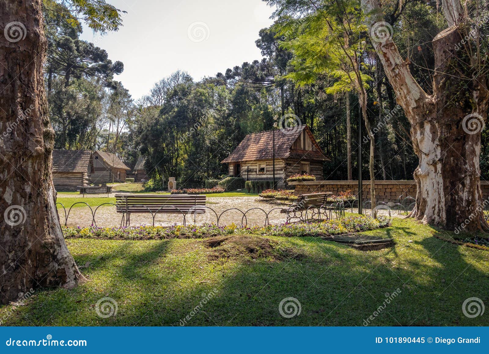 bosque do papa pope`s wood - curitiba, parana, brazil