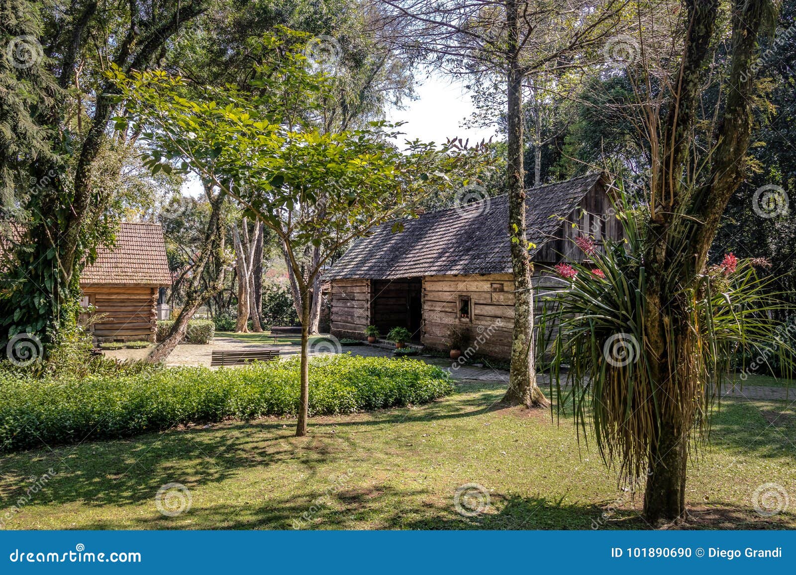 bosque do papa pope`s wood - curitiba, parana, brazil