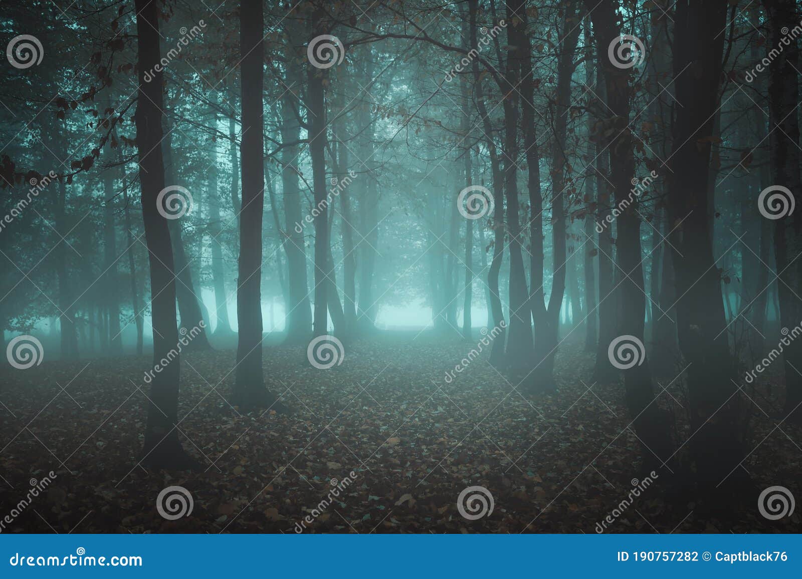 Bosque nebuloso surreal foto de stock. Imagem de névoa 190757282