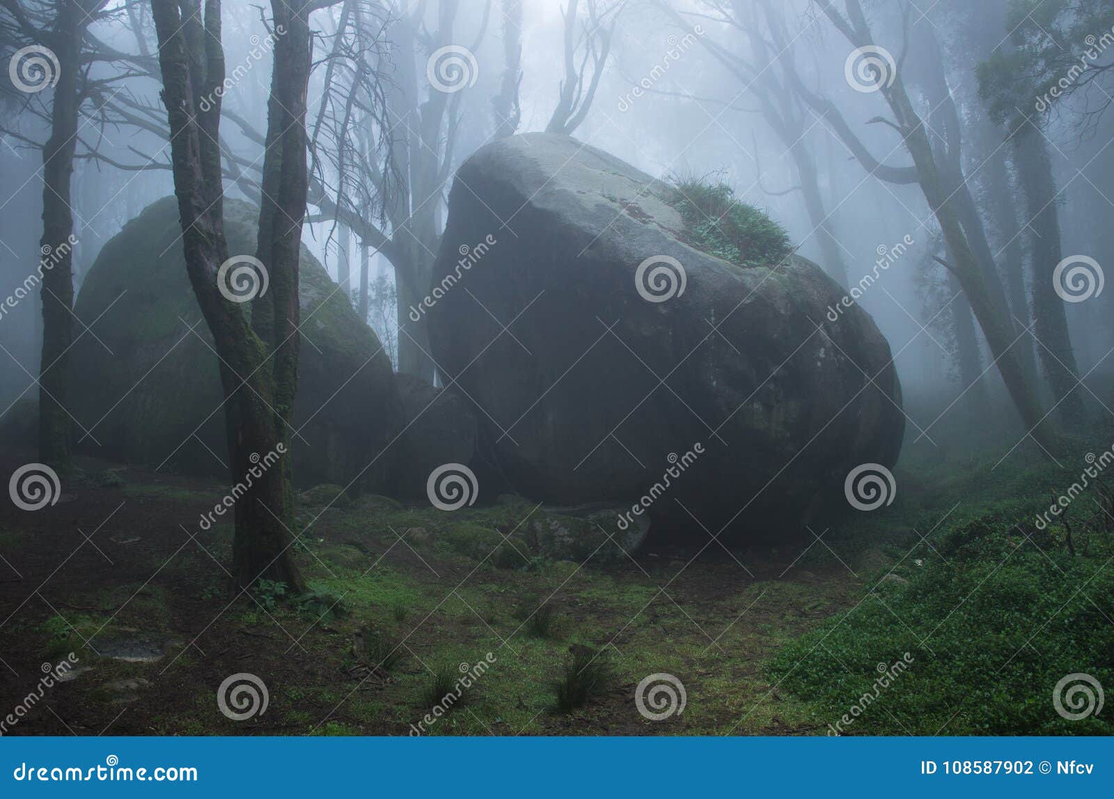 Bosque Viejo Oscuro Misterioso Con Niebla Foto de archivo Imagen de