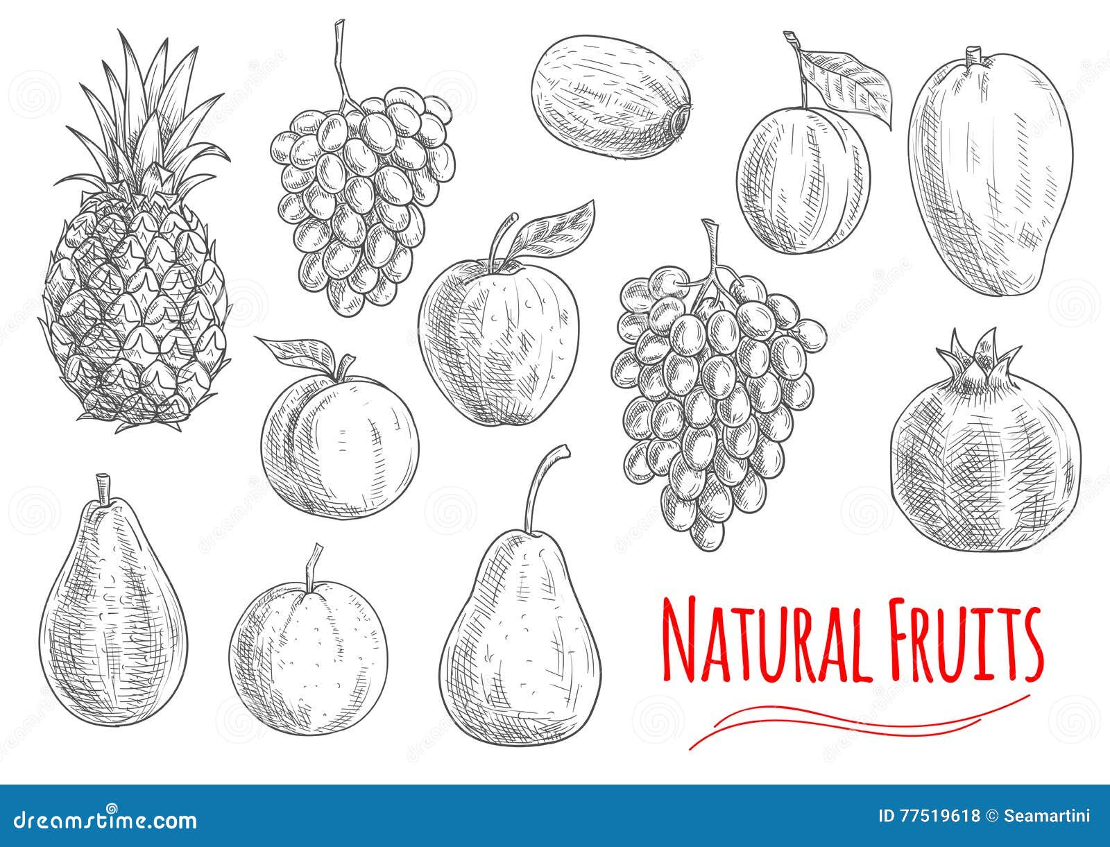 Mango Fresco. Dibujado A Mano Estilo De Bosquejo De Frutas Tropicales De Verano Ilustración Vectorial. Aislado De Dibujo Sobre Fondo Blanco. Vitamina Y Frutas Saludables Eco Comida. Productos Del Mercado Agrícola. Ilustraciones