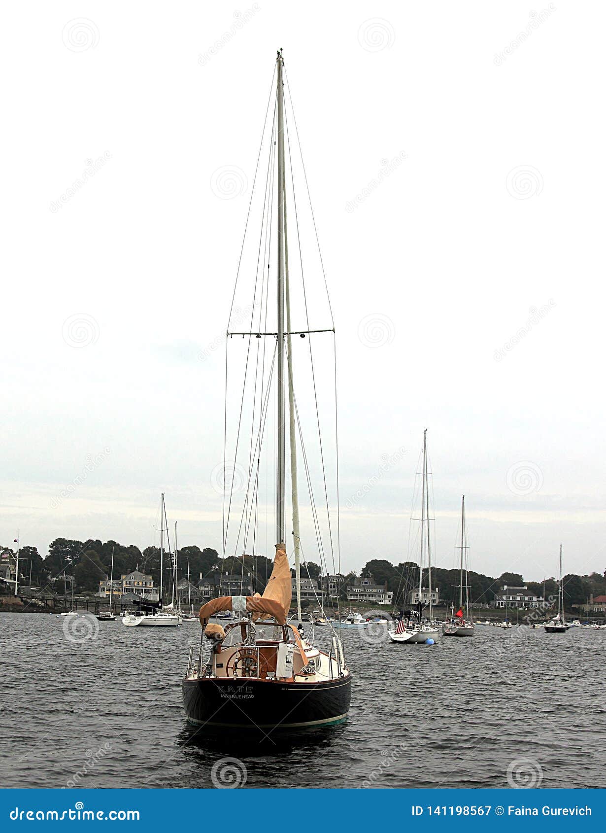 sailboat in boston