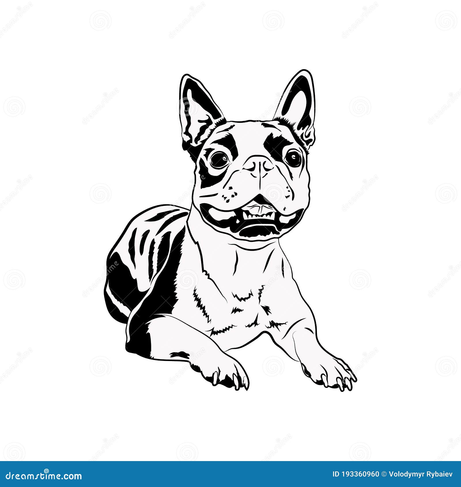 Boston Terrier Outline Svg