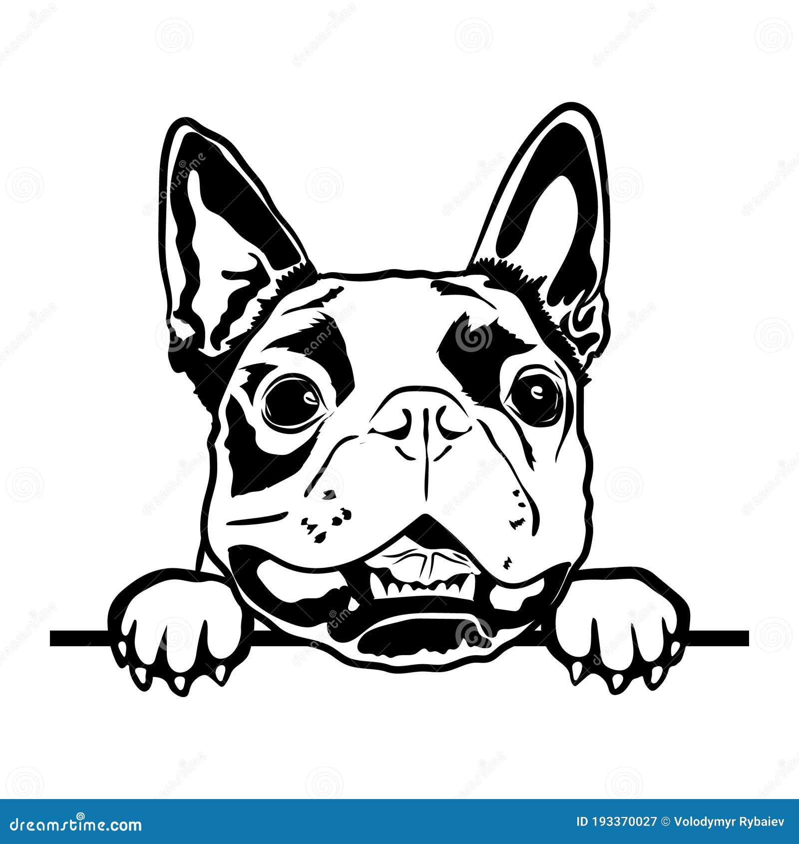 Boston Terrier Svg, Cute Svg Files for Cricut Stock Vector