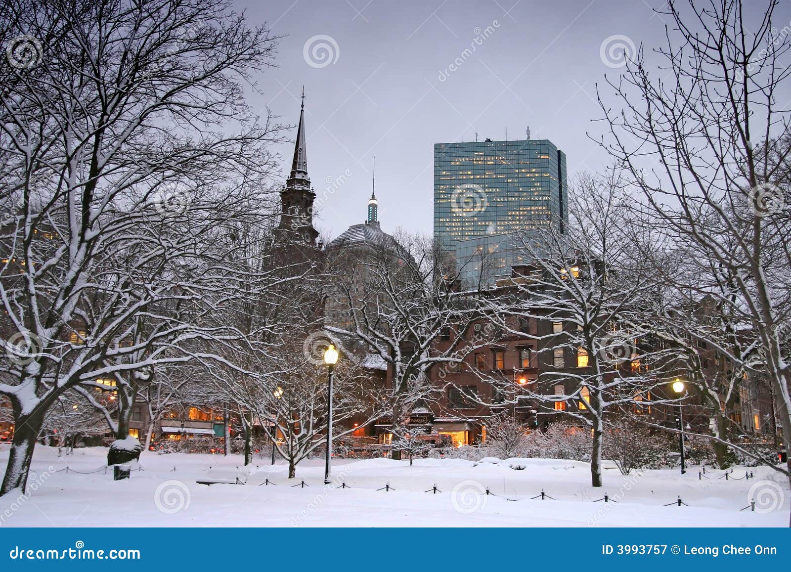 Boston Winter stock image. Image of massachusetts, garden - 3993757
