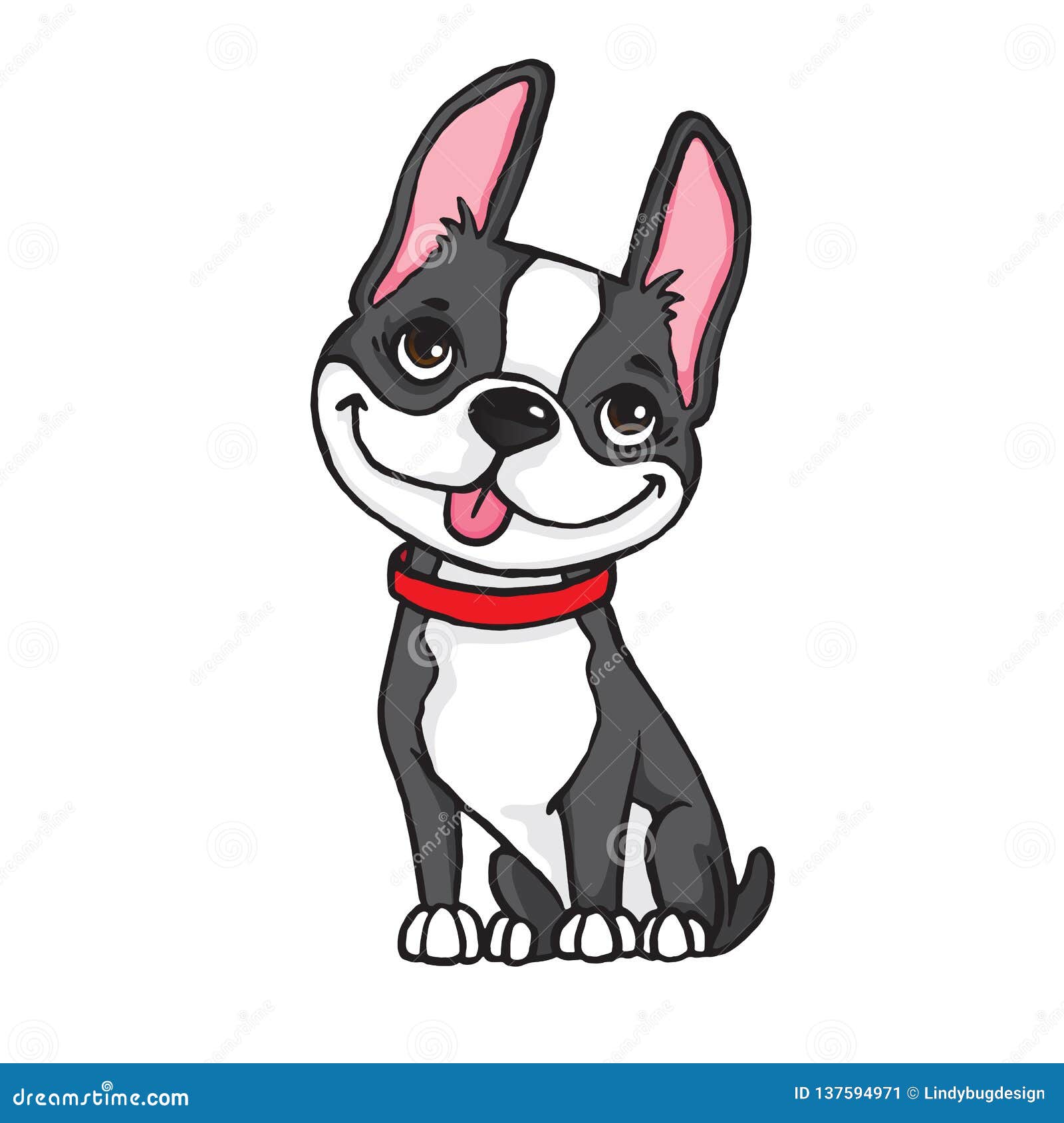 Boston Terrier Drawing Face ~ Drawing Tutorial Easy