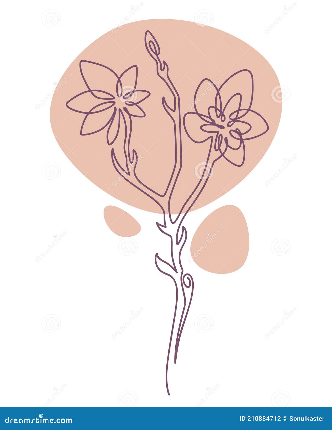 Botánica Minimalista Sketch Flor De Primavera Ilustración del Vector - Ilustración de aroma, detallado: 210884712 Botánica Minimalista Sketch Flor De Primavera Ilustración del Vector - Ilustración de aroma, detallado: 210884712