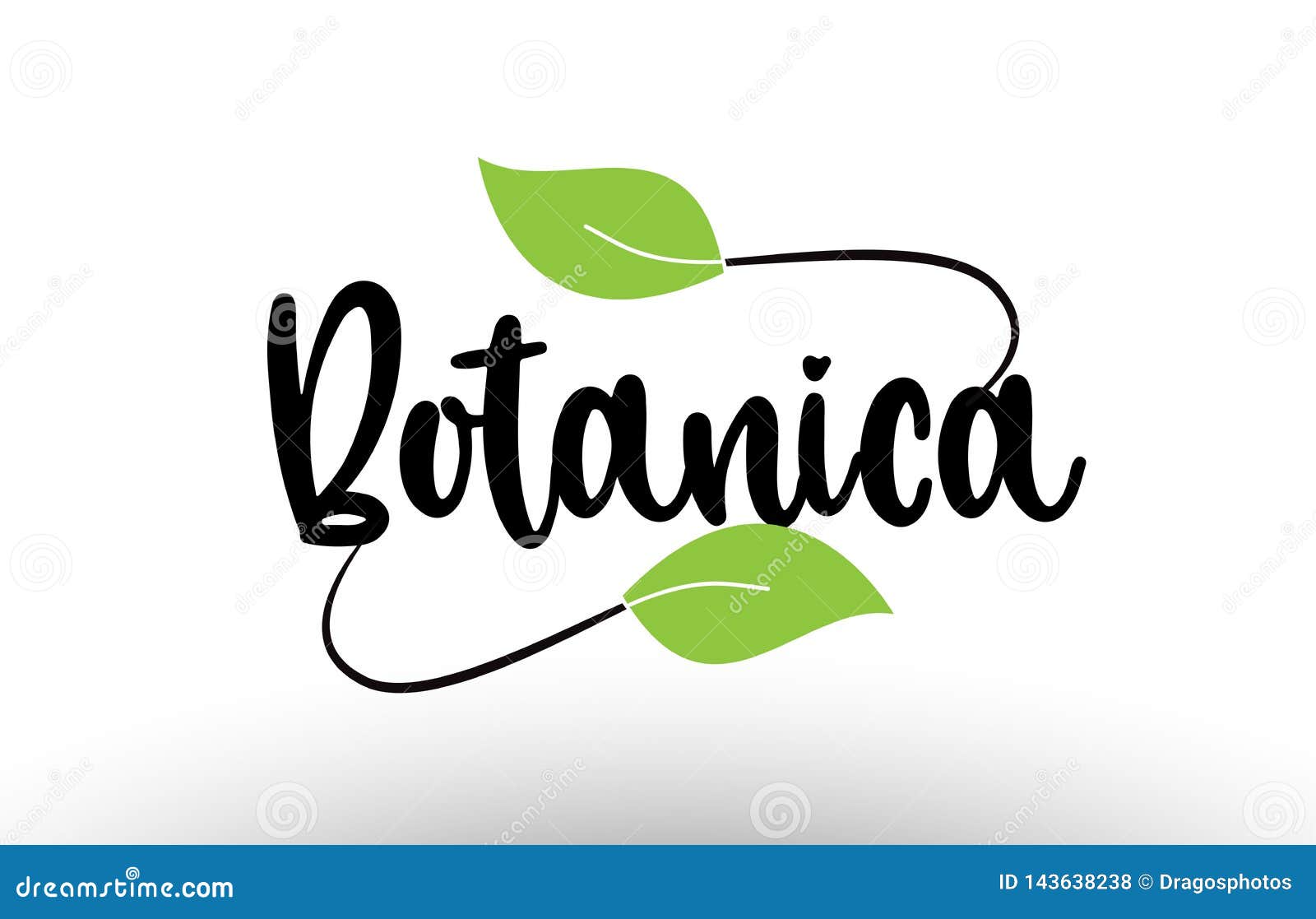 botanica word text with green leaf logo icon 