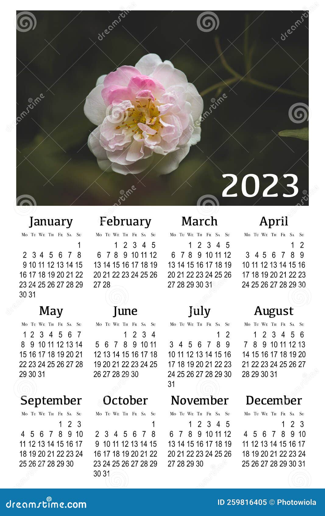 Botanical Calendar For 2023 Stock Illustration Illustration Of