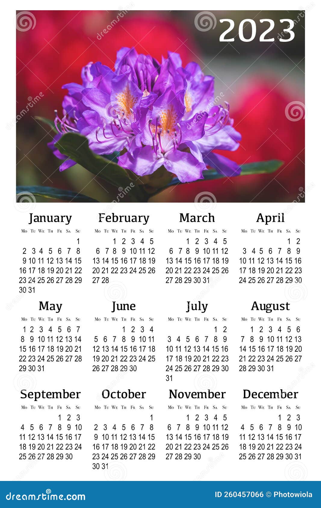 Botanical Calendar for 2023. Vertical Wall Calendar Stock Photo Image of ornament, decorative