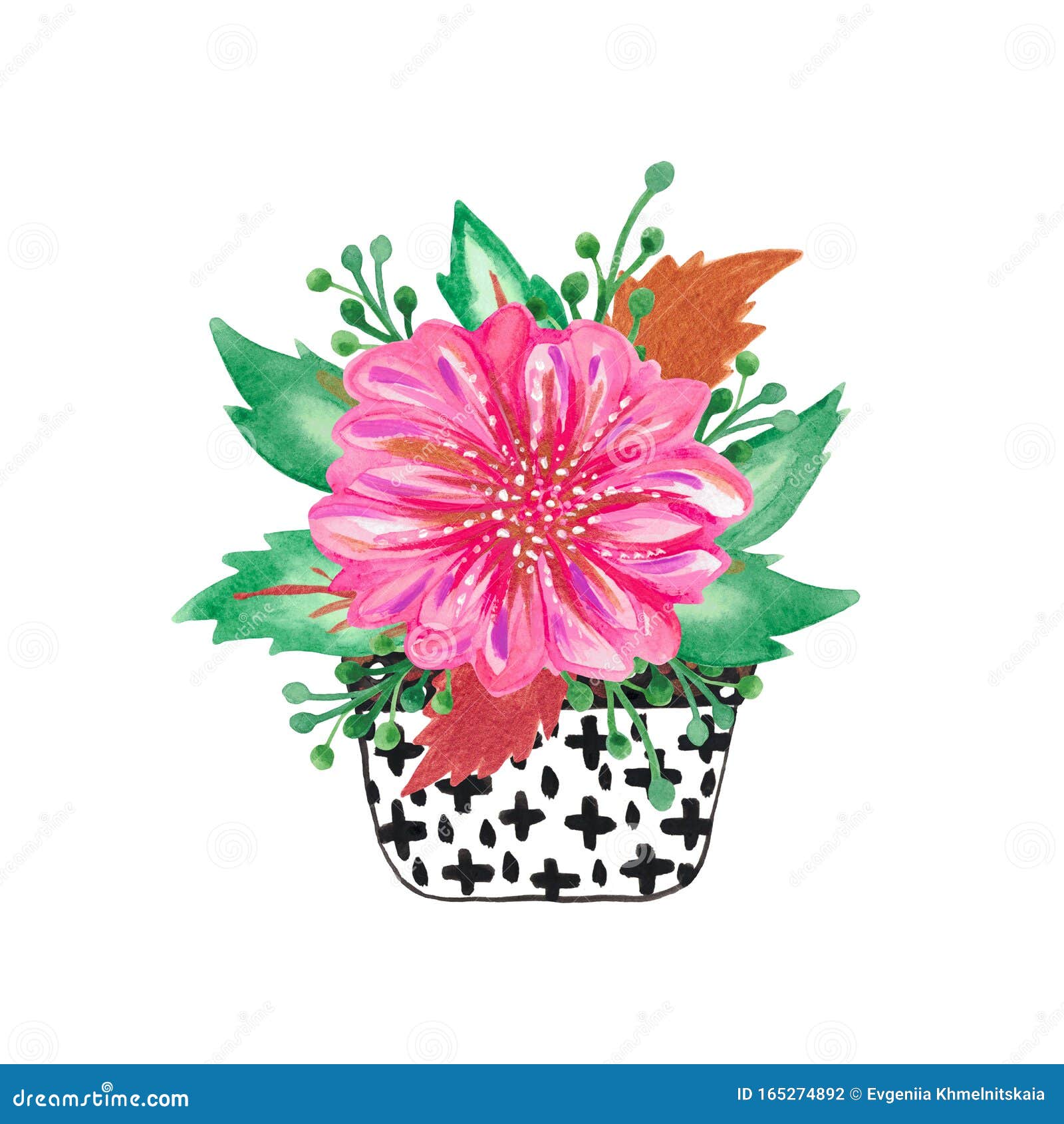 Botanical Composition Hand Painted Watercolor Delicate Romantic A Flower In A Pot Stem Leaves Clipart For Wedding Cards Stock Illustration Illustration Of Blooms Composition Botanical Composition Hand Painted Watercolor Delicate Romantic A Flower In A Pot Stem Leaves Clipart For Wedding Cards Stock Illustration Illustration Of Blooms Composition