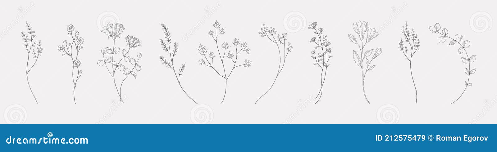 botanical drawing. minimal plant logo, meadow greenery, leaf and flower abstract sketch  collection, linear