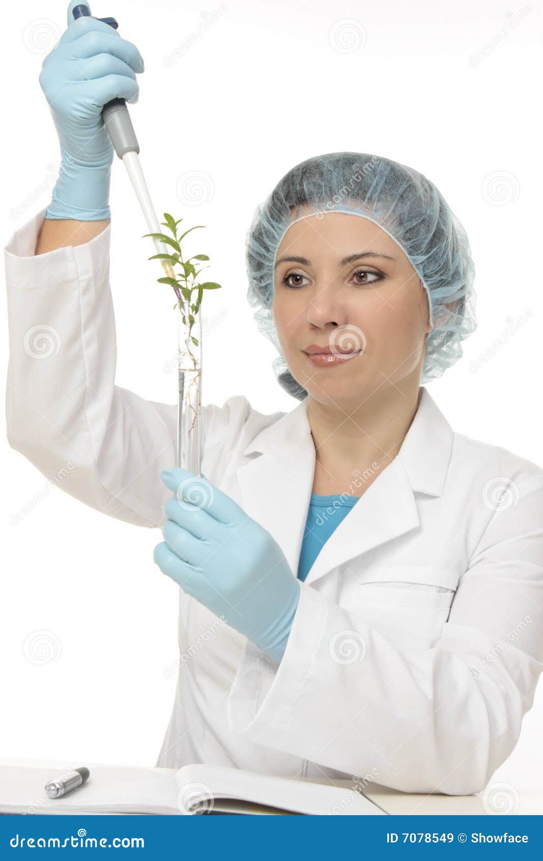 Botanical Experiment stock image. Image of green, leaves 7078549