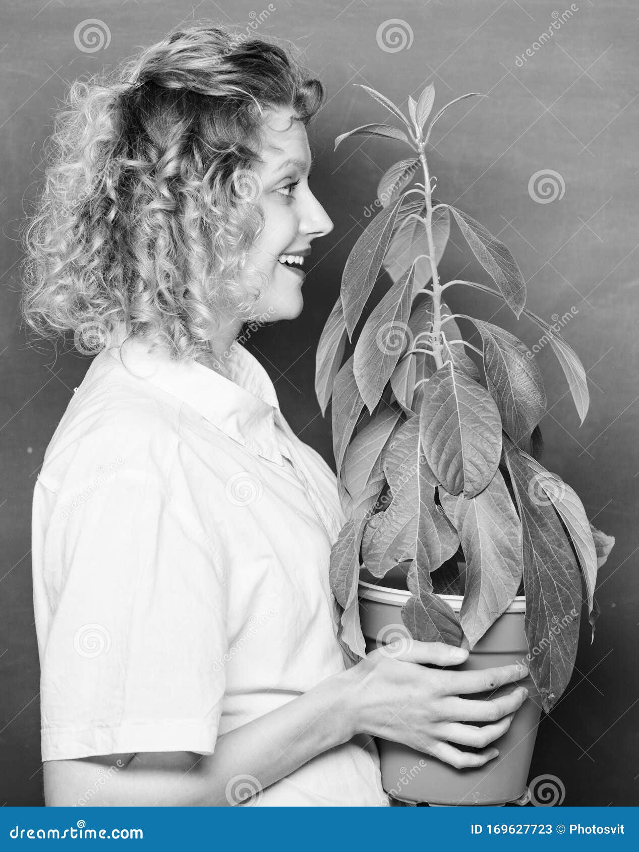 Botanical Expert. Botany Education. Botany is about Plants Flowers and