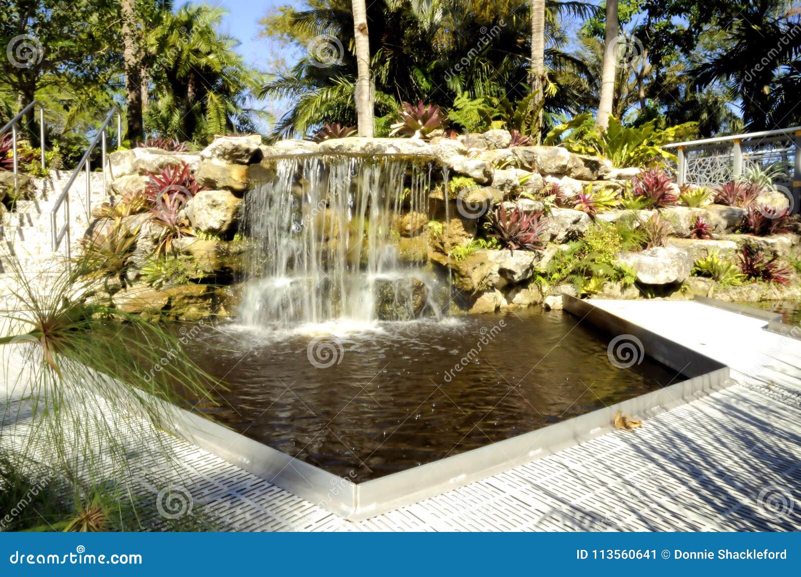 Botanical Falls And Pool Stock Image Image Of Falls 113560641