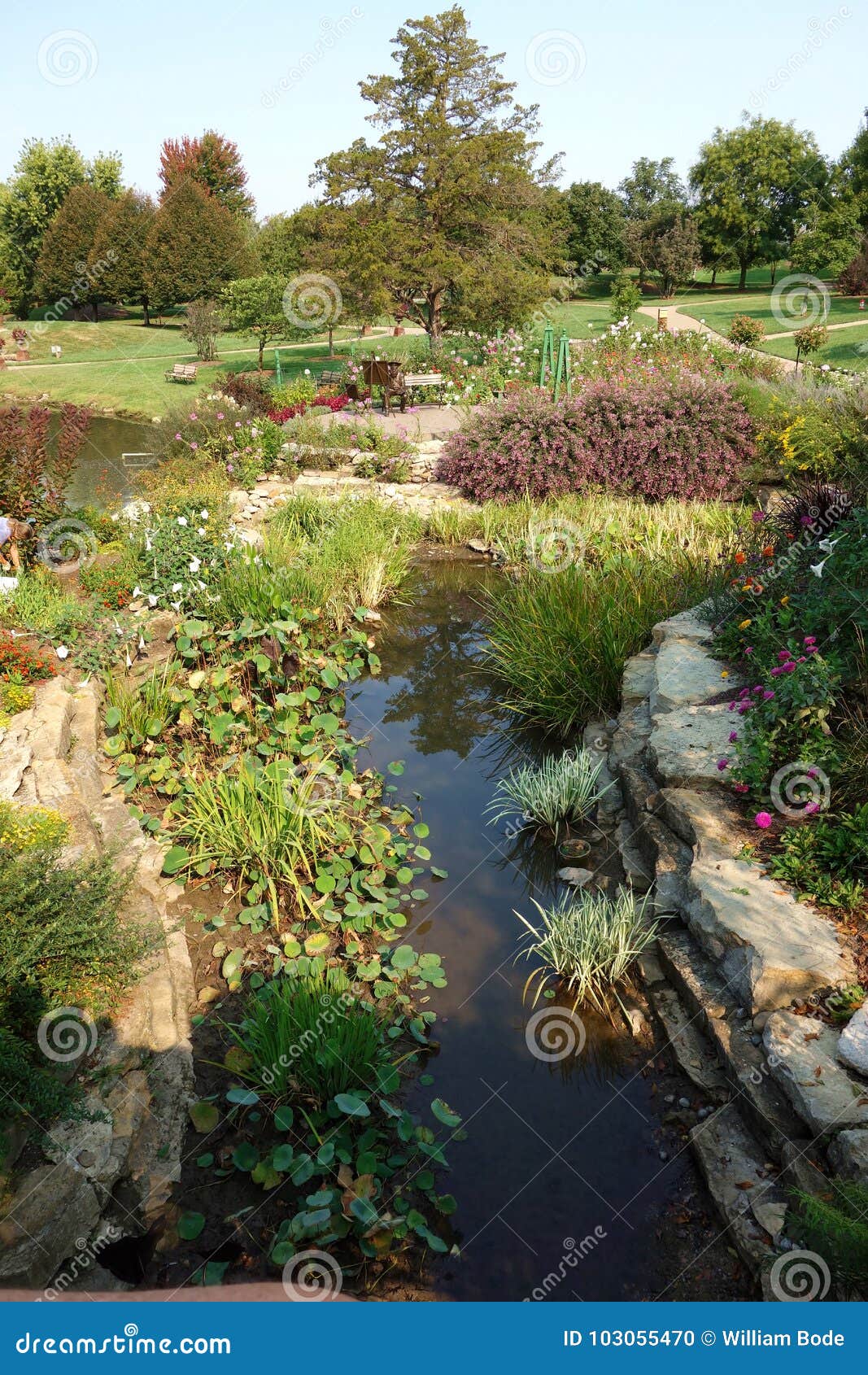 botanical flower garden with water feature stock photo - image of