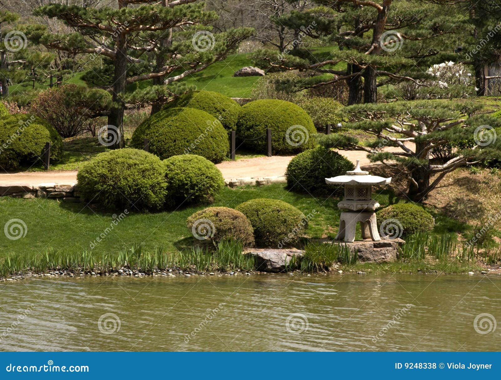 Botanical Garden stock photo. Image of yard, green, plants - 9248338